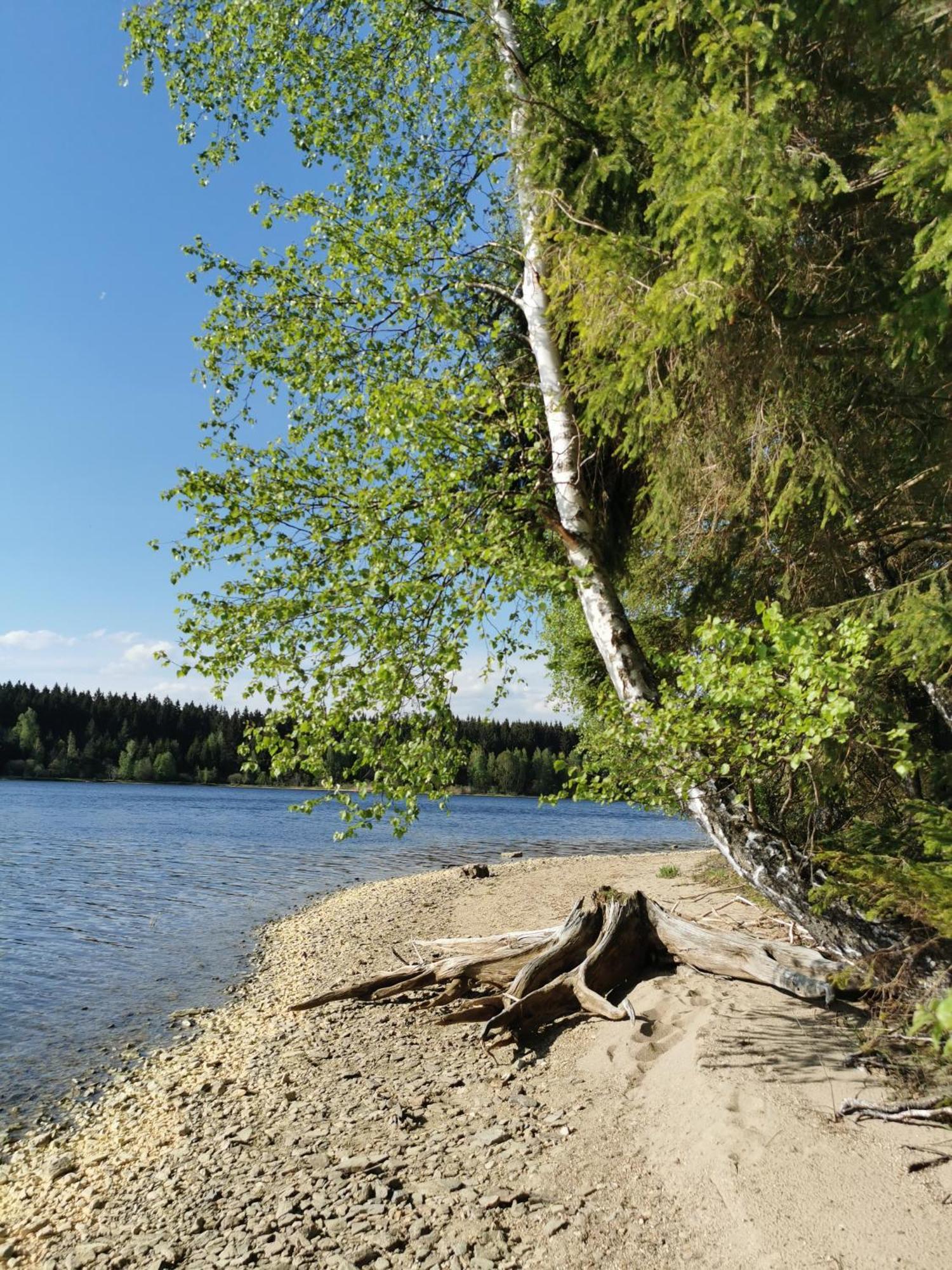Apartman S Terasou A Vyhledem Na Jezero Lipno Kovářov Exterior foto